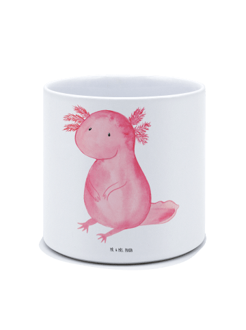 Mr. & Mrs. Panda Pflanzkübel Groß Axolotl Niedlich ohne Spruch in Weiß