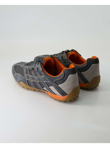 Geox Sportliche Schnürschuhe in Grau