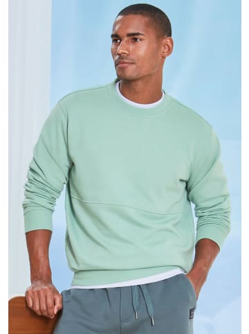 John Devin Sweatshirt in hellsalbei