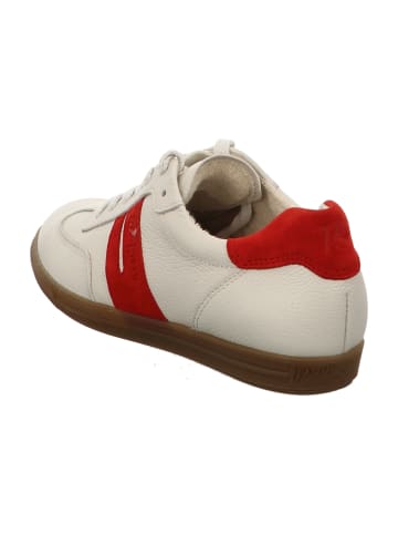 Paul Green Sportliche Schnürschuhe in Beige