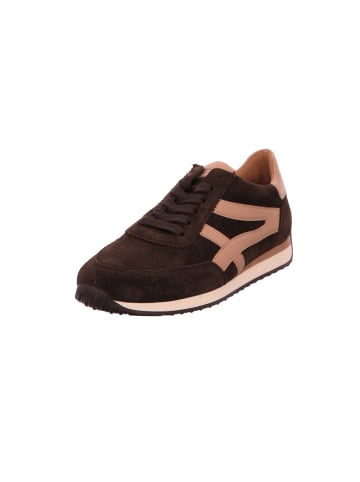 Gabor Sneaker Low in braun