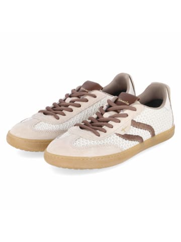 Tamaris Schnürhalbschuh in beige