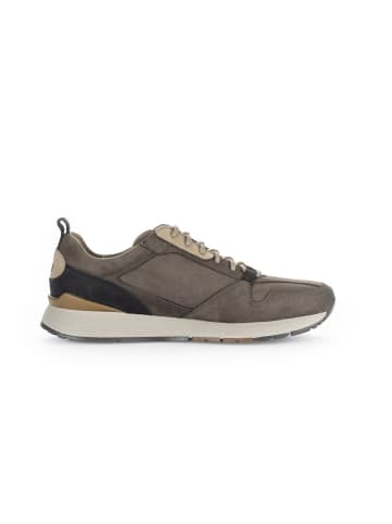 Pius Gabor Sneaker für Herren in mocca