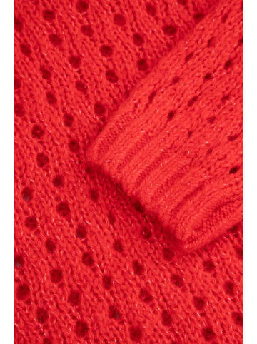 Coccodrillo Strickpullover in rot