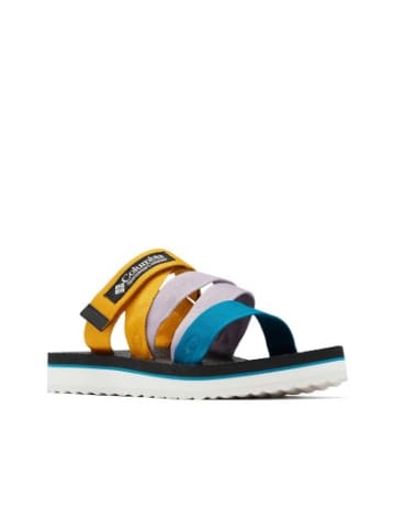 Columbia Sandalen Columbia in Mehrfarbig