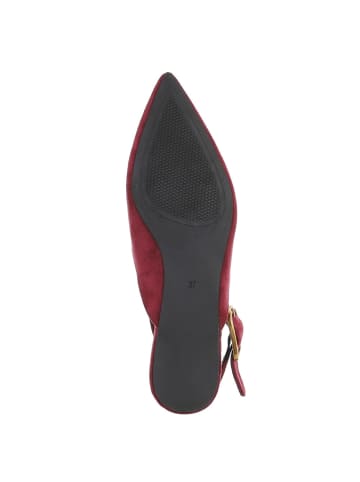 Ital-Design Pump in Weinrot