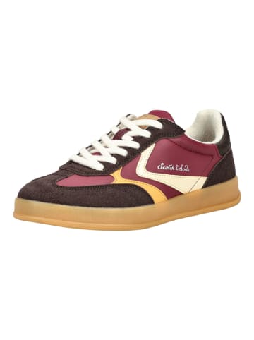 Scotch & Soda Sneaker in Braun