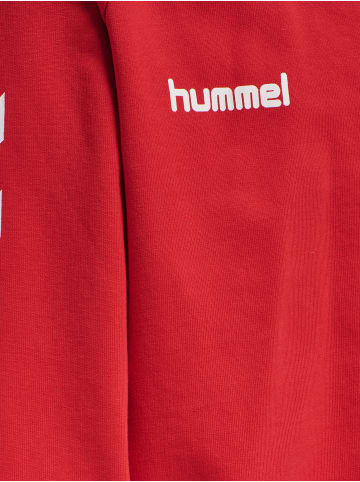 Hummel Hummel Cotton Kapuzenpullover Hmlgo Multisport Unisex Kinder in TRUE RED