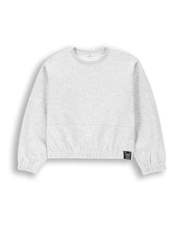 Coccodrillo Sweatshirt in grau