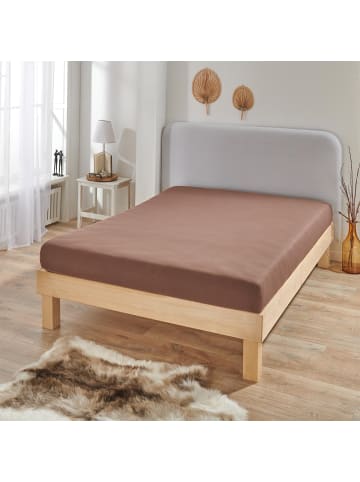 BettwarenShop Spannbettlaken Boxspring in braun