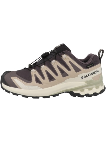 SALOMON Laufschuhe XA PRO 3D V9 GTX in grau