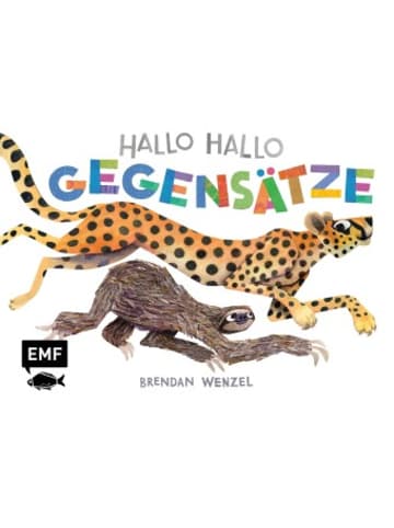 Michael Fischer Buch - Hallo Hallo - Gegensätze