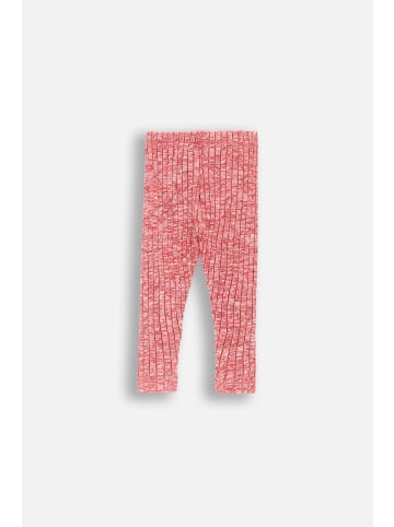 Coccodrillo Leggings mit langem Hosenbein in korallenrot