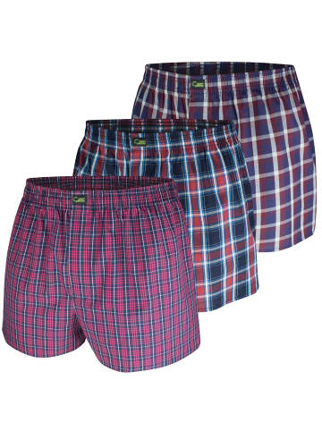 green panther Webboxershorts 3er Pack in Rot / Karo