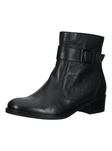 ara Stiefelette in Schwarz