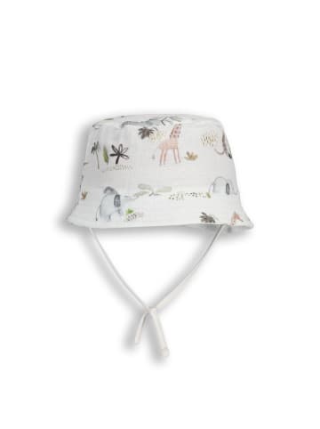 Coccodrillo Hut in bunt