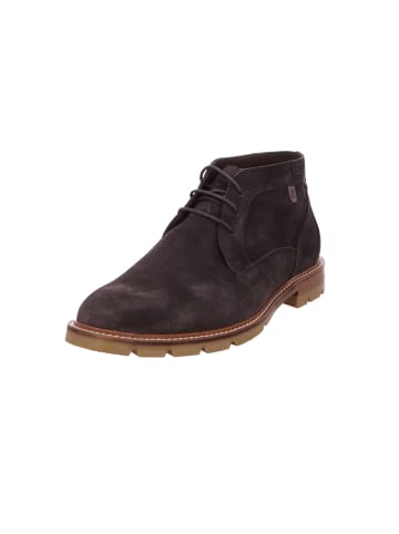 Floris van Bommel Schnürschuh in braun