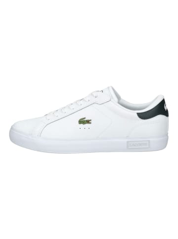 Lacoste Sneaker in Weiß/Grün