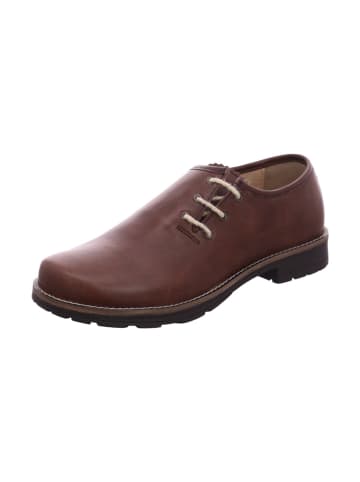 Esgano Herrenschnürschuhe halb sportlicher Boden ( Standard )  in  Braun
