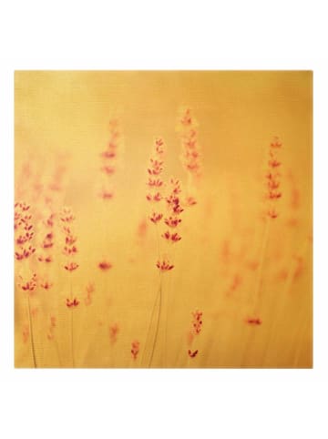 WALLART Leinwandbild Gold - Zartrosaner Lavendel in Rosa