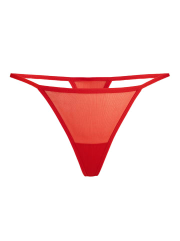 Teyli Mesh Tanga Paski in rot