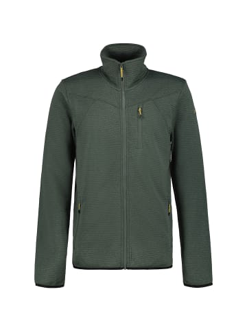Icepeak BERTHOLD in Oliv102