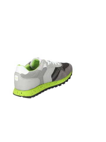 Geox Sneaker in grey/lime