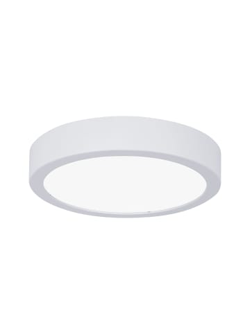 paulmann LED Panel Aviar
