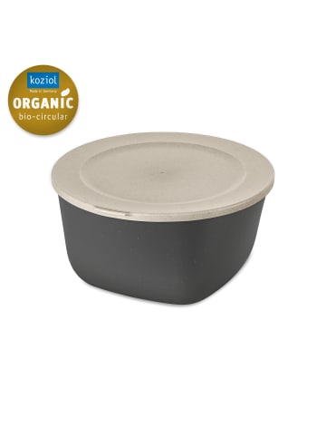 koziol CONNECT BOX 4 - Box mit Deckel 4l in nature ash grey