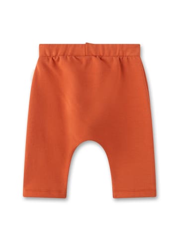 Sanetta Hose in Orange
