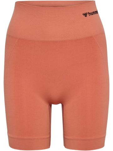 Hummel Hummel Kurze Hose Hmltif Yoga Damen Dehnbarem Atmungsaktiv Schnelltrocknend Nahtlosen in APRICOT BRANDY