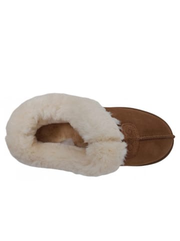 OOG Kurzstiefel  in Beige