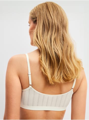 Calida Bustier in charm cream
