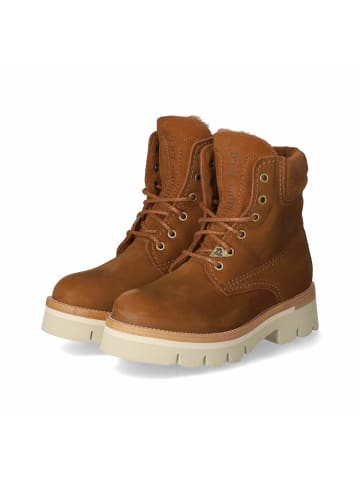 PANAMA JACK Winterstiefeletten LUA B2 in Braun