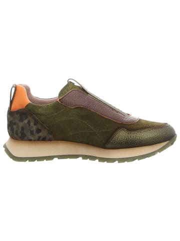Hispanitas Halbschuhe in army/avellana