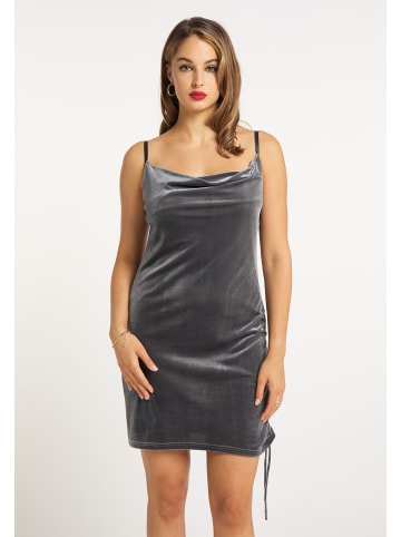 faina Kleid in Grau