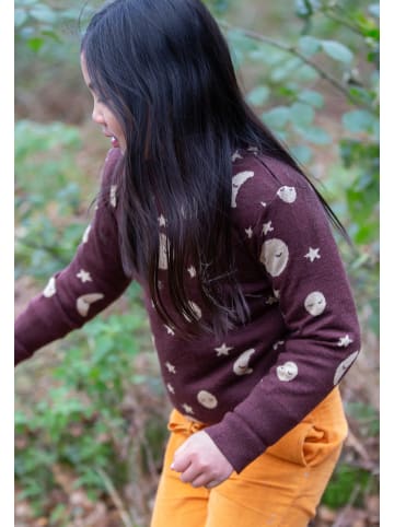 Little Green Radicals Organic Knitted Jumper in Brown