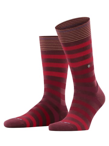 Burlington Socke Blackpool SO in Coralred