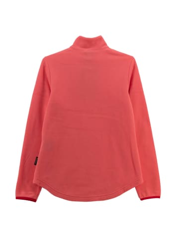 Jack Wolfskin Pullover Echo Fleece Sweater in Rosa