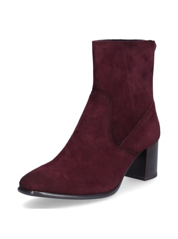 Tamaris Stiefelette in Rot