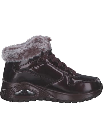 Skechers Stiefeletten in burgundy