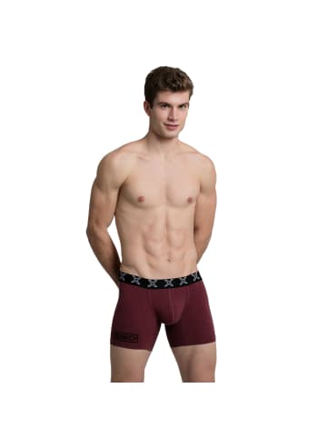 Munich 2er-Set: Boxershorts in Multicolored