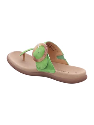 Gabor Klassische Pantolette in grün