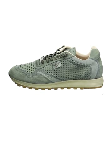 Cetti Sneaker Low in Grün