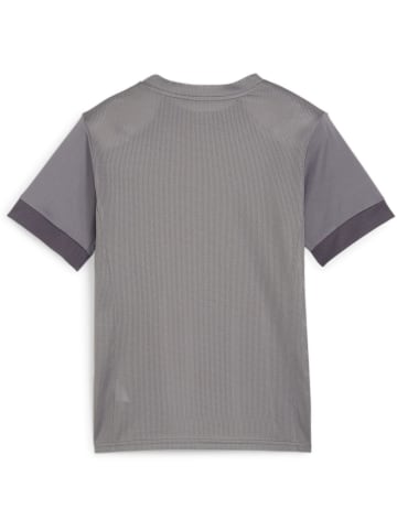 Puma Sportshirt "TeamGoal Matchday Jersey jr" in Grau