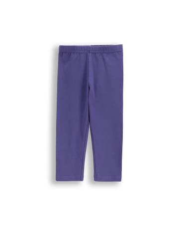 Coccodrillo 3/4-Leggings in violett