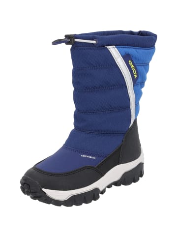 Geox Stiefeletten in BLUE/ROYAL