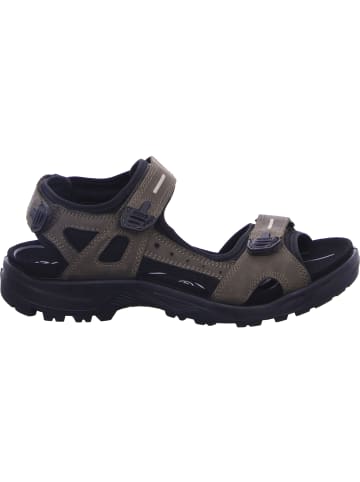 Ecco Outdoorsandalen Offroad in tarmac