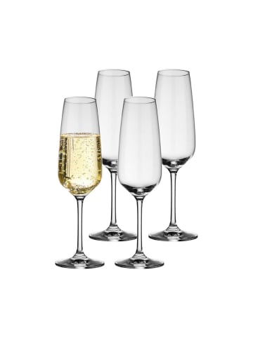 Villeroy & Boch 4er Set Sektgläser Voice Basic 120 ml in transparent