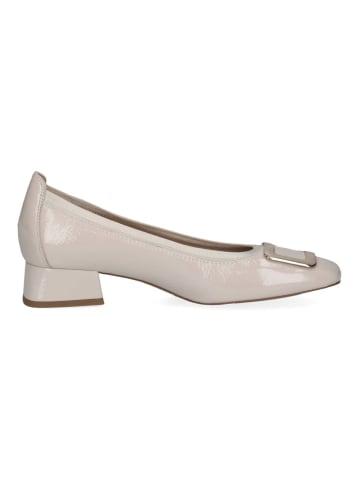 Caprice Pumps in Beige Lack